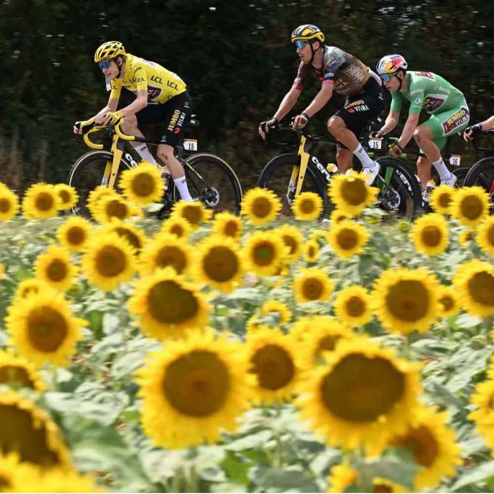 Savemybar Handlebar Plugs 6 Savemybar Handlebar Plugs - Image 6